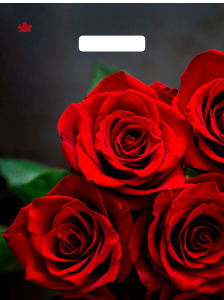 Пакет с выруб. руч. 31х40 (60) (Тико) ламинат Аромат розы /500/50 