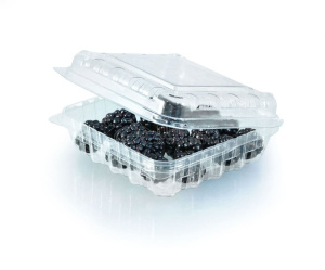 ПР-РКФ-125 Контейнер под фрукты/овощи /Стандарт/(Крышка и дно: отверст)125*110*45/ /450 шт/ прозр.Пр