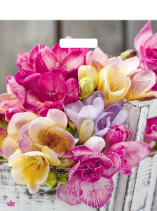 Пакет с выруб. руч. 38х45+6 (60) (Тико) ПВД глянец Цветочная симфония /500/50