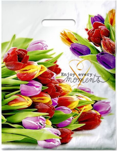 Пакет с выруб. руч. 31х40 (60) (Интерпак) Этюд ламинат /500/50