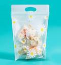 Пакет Подарочный zip-lock 15х22 Ромашки  Р139 /50/5000