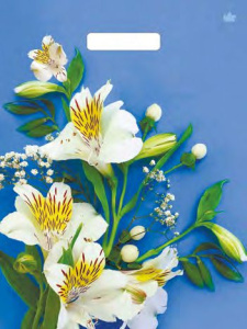 Пакет с выруб. руч. 31х40 (60) (Тико) глянец Лилия белоснежная /500