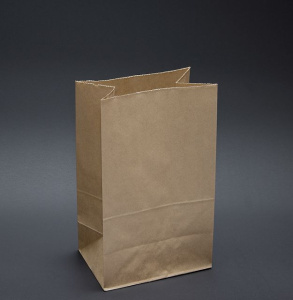 Пакет Крафт с прямоугольным дном 260*150*340мм 70гр ВГ (1/400)