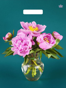 Пакет с выруб. руч. 31х40 (60) (Тико) ламинат Любимые пионы/500/50