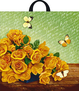 Пакет с петл.ручкой 44х44 (70) ПВД (Интерпак) Рапсодия /250/25